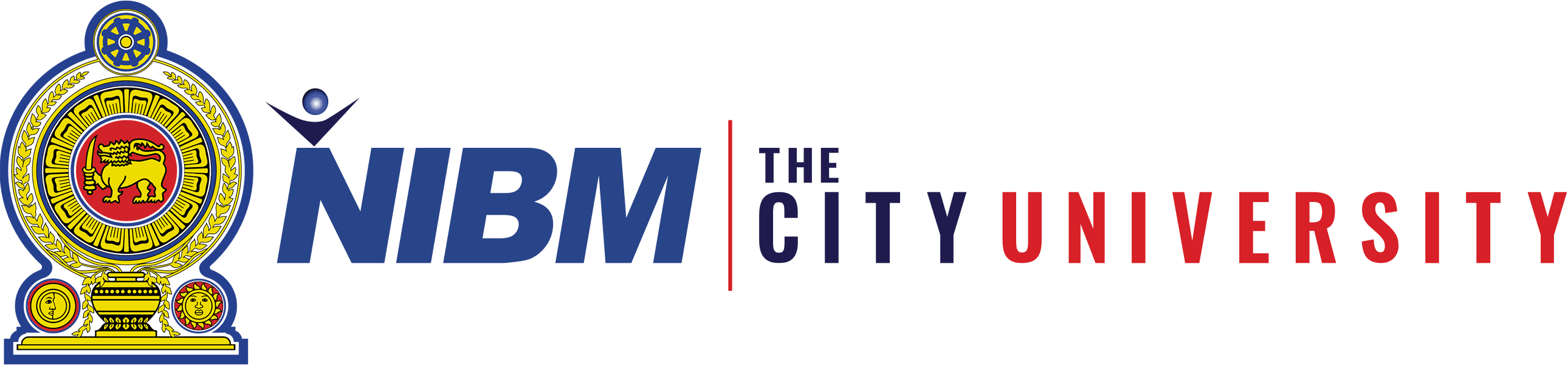 NIBM Logo